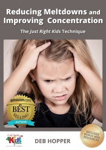 Reducing Meltdowns Improving Concentration Skills Amazon Best Seller 